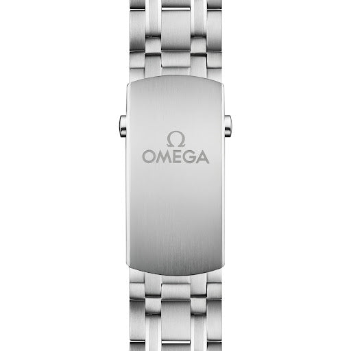 Seamaster Diver 300M, 42 mm Steel On Steel