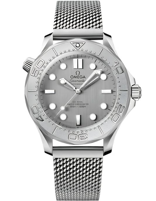Seamaster Diver 300M 42 mm, steel on steel